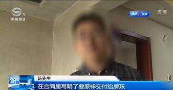 重庆陈先生爆料新闻视频,揭秘某事件背后真相  第1张